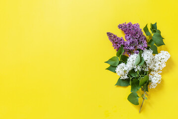 Lilac and white flowers on yellow background. Copy space flat lay.