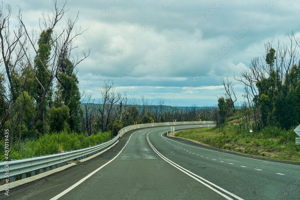 Poster a scenic view of an asphalt road surrounded by green trees on cloudy sky background