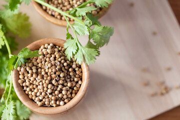 Coriander seeds in a wooden cup copy space