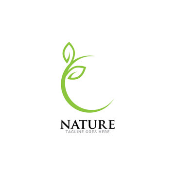 nature leaf logo icon vector template.