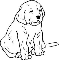 little puppy hand drawn vector