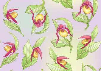 Lady's slipper orchid, Cypripedioideae, Seamless pattern, background. Vector illustration. In botanical style