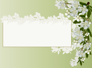 Obraz na płótnie Canvas white color flowers frame on green background