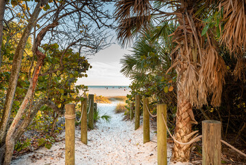 beach with palm trees