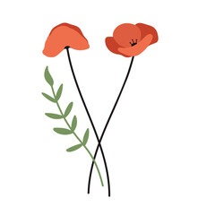 Poppies. Flowers. Cottage core. Flat design. Hand drawn vector