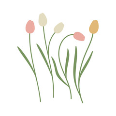 Tulips. Flowers. Cottage core. Flat design. Hand drawn vector