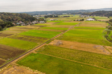 Fototapeta na wymiar 田園風景　Typical rural landscape (rice field) 