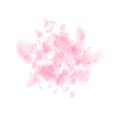 Sakura petals falling down. Romantic pink flowers explosion. Flying petals on white square background. Love, romance concept. Fair wedding invitation.