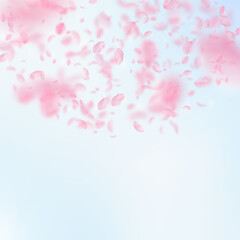 Fototapeta na wymiar Sakura petals falling down. Romantic pink flowers semicircle. Flying petals on blue sky square background. Love, romance concept. Cool wedding invitation.