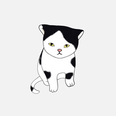 cute black and white cat vector