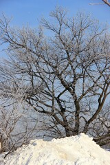 Embankment of the Neva River St. Petersburg