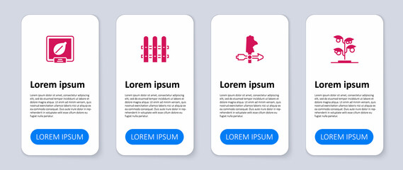 Set Sprout, Rooster weather vane, Garden fence wooden and Seeds of specific plant. Business infographic template. Vector