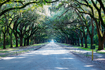 path in the park