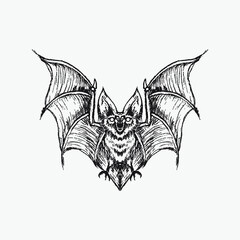 Bat drawing vector illustration.