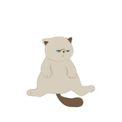 Fat cat cartoon for vector