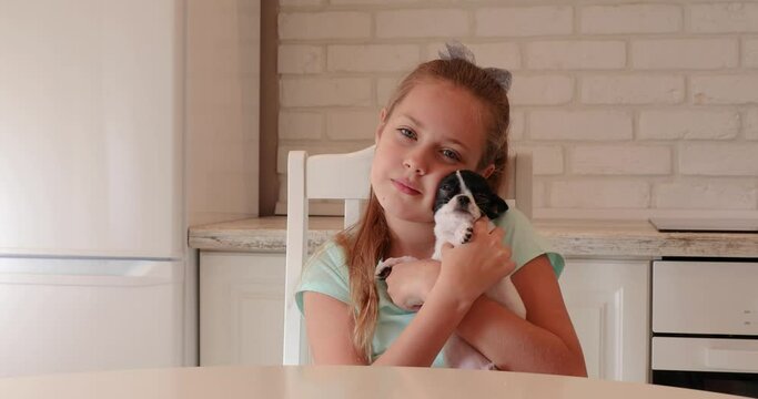 a little girl hugs her beloved little dog. the child plays with a pet. girl and little black and white chihuhua puppy. sweet dog chihua hua.