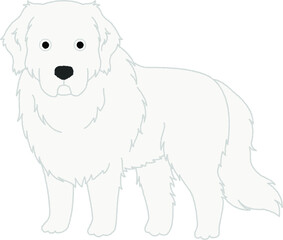 グレート・ピレニーズの犬イラスト