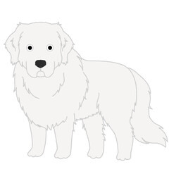 グレート・ピレニーズの犬イラスト