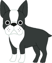 ボストン・テリアの犬イラスト