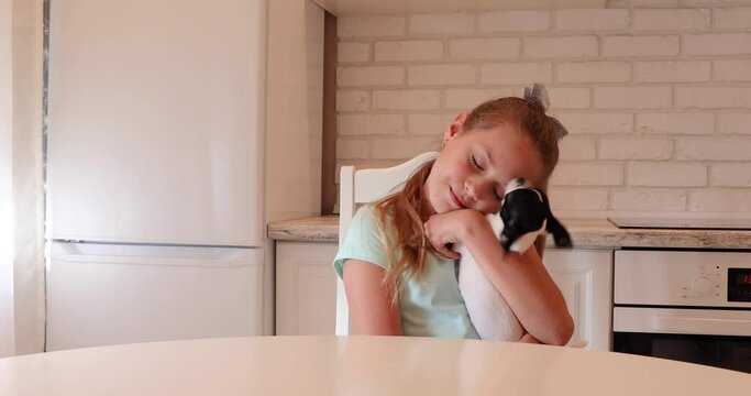 sweet dog chihua hua. a little girl hugs her beloved little dog. the child plays with a pet. girl and little black and white chihuhua puppy.