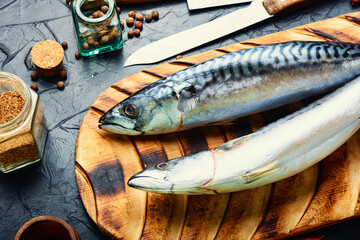 Fresh, raw mackerel fish