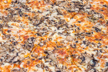 Close up on mushroom pizza.