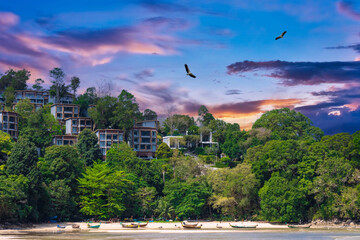 Eagle flying above Long tail Boat on colourful sunset over Patong Beach Phuket Thailan