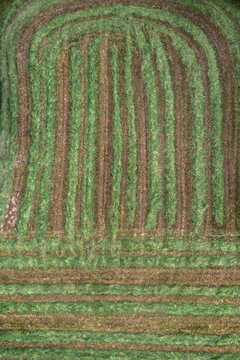 Aerial view green hay crop forming lines and curve pattern, Auvergne, France
