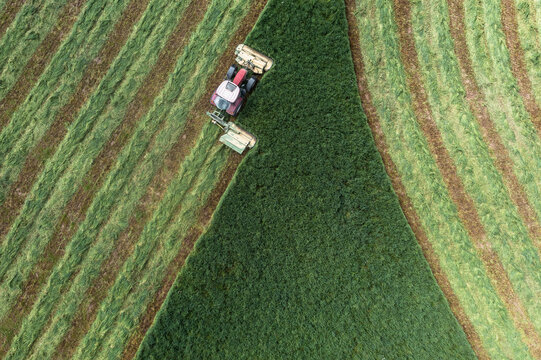 Aerial view tractor harvesting green hay crop, Auvergne, France
