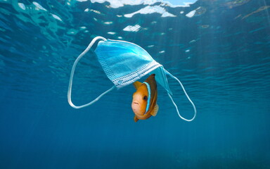 Fish under a surgical face mask, plastic pollution underwater in the ocean, Coronavirus waste...