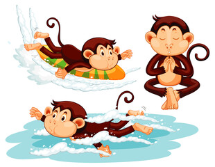 Three monkeys doing different activities