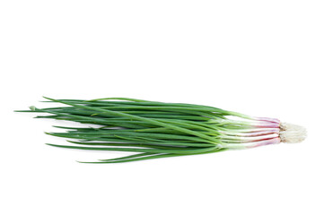 Obraz na płótnie Canvas Fresh spring onion isolated on white background.