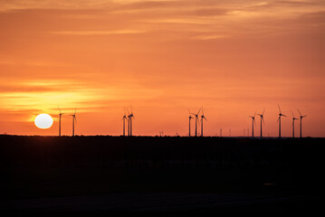 Fototapeta na wymiar Windräder im Sonnenaufgang