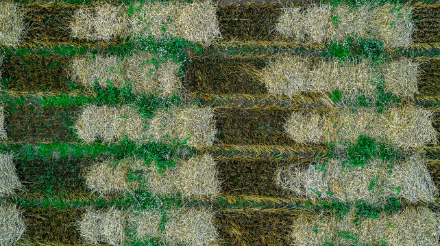 Aerial drone POV brown and green crop patches forming pattern
