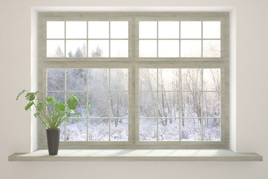 Wooden window with winter landscape and green flower. Scandinavian interior design. 3D illustration