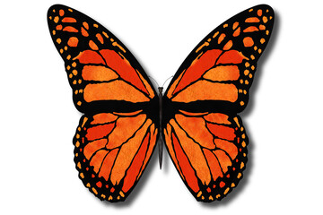 Obraz na płótnie Canvas Farfalla colorata vola con le ali aperte su sfondo bianco..