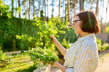 Woman holding branch of fresh herbs mint in her hands, outdoor in the garden.