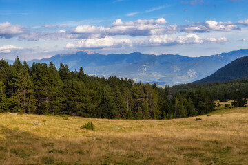 Summer landscape in La Cerdanya, Pyrenees mountain , Catalonia, Spain.
