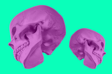 Purple gypsum human skull on isolated green background with clipping path. Plaster sample model...