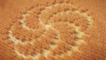 field with alien crop circle formation