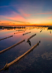 Quang Loi lagoon in group lagoon Tam Giang in Hue, Vietnam