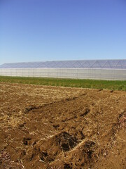 早春の緑肥を鋤き込んだ畑と農業用ハウスのある風景