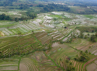 Jatiluwih Rice Terrace in Tabanan Regency, Bali, Indonesia