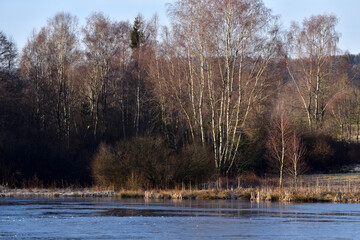 Allenbacher Weiher