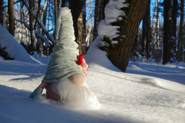 A toy gnome in a cap on the snow, a winter toy gnome sits in a white snowdrift.