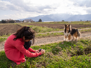 犬の写真を撮影している少女