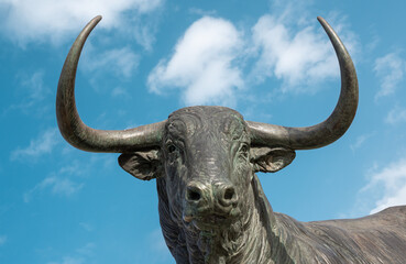 Detalle escultura cabeza de un toro bravo o de lidia en la villa de Trodesillas, provincia de...