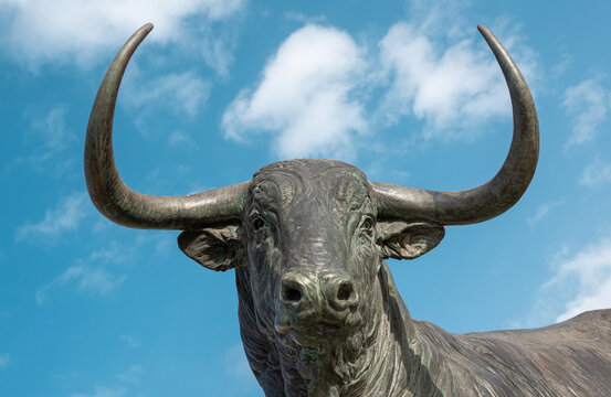 Detalle escultura cabeza de un toro bravo o de lidia en la villa de Trodesillas, provincia de Valladolid, España
