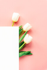 White tulips and blank sheet on pink table. Spring festive background. Top view, flat lay, copy space