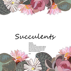 Square frame from succulents. Making booklets, postcards. Vector illustration.

